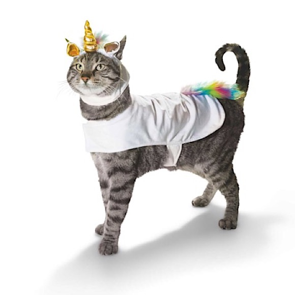 Bootique Cat Petco Born To Unicorn Cat Costume Nwt Poshmark